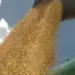 Safra de grãos no Tocantins pode bater recorde, superando 8,7 milhões de toneladas