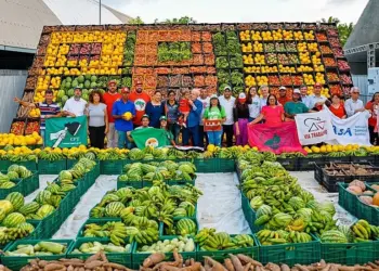 Conab apresenta o Programa de Aquisição de Alimentos (PAA) em palestra em Marianópolis