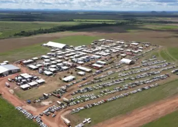 Com contagem regressiva iniciada, Agro 360 Tocantins intensifica preparativos em Peixe (TO)