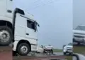 Colisão na TO-080 envolvendo servidores do Ruraltins resulta em morte de idosa e deixa feridos
