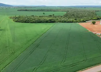 Com R$ 718 milhões exportados, Porto Nacional consolida liderança do agro no Tocantins