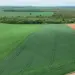 Com R$ 718 milhões exportados, Porto Nacional consolida liderança do agro no Tocantins