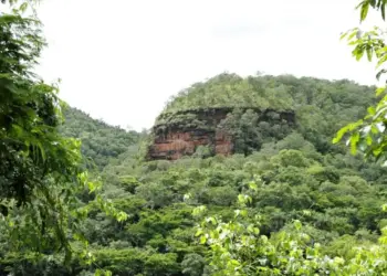 Fundo Estadual do Meio Ambiente terá gestão aprimorada após TAC firmado entre Tocantins e MP