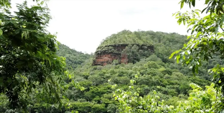 Fundo Estadual do Meio Ambiente terá gestão aprimorada após TAC firmado entre Tocantins e MP