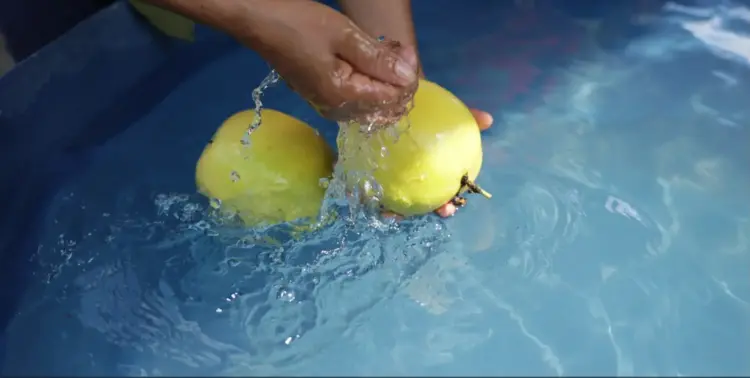 Codevasf promove palestra sobre conservação e uso racional da água para estudantes em Palmas