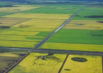 Revitalização da barragem do Projeto Rio Formoso é pauta entre Estado e Codevasf