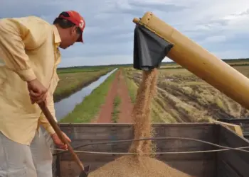 Tocantins tem o 3º maior crescimento da produção agrícola no Brasil entre 2018 e 2023