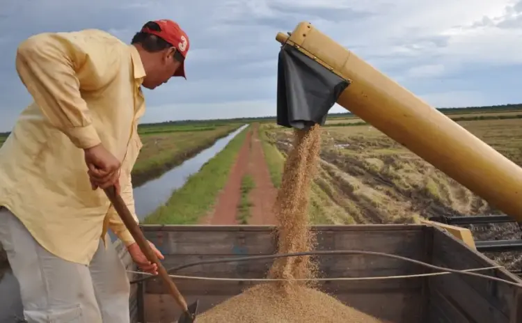 Tocantins tem o 3º maior crescimento da produção agrícola no Brasil entre 2018 e 2023