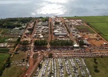 Novas empresas do agroindustrial marcam presença na Agrotins 25 anos