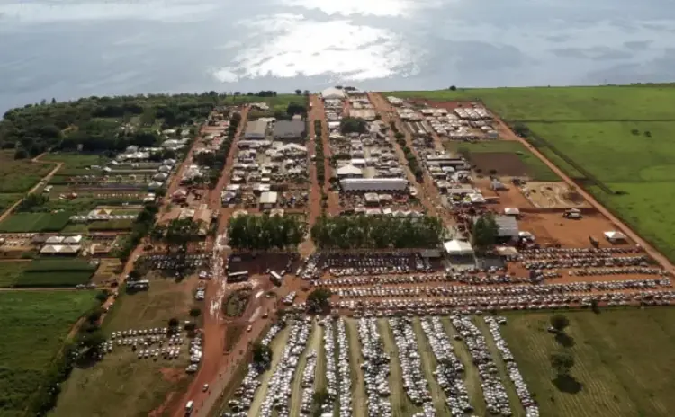 Novas empresas do agroindustrial marcam presença na Agrotins 25 anos