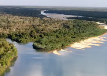 Entidades habilitadas para o Conselho Gestor da APA Ilha do Bananal/Cantão são divulgadas em lista preliminar