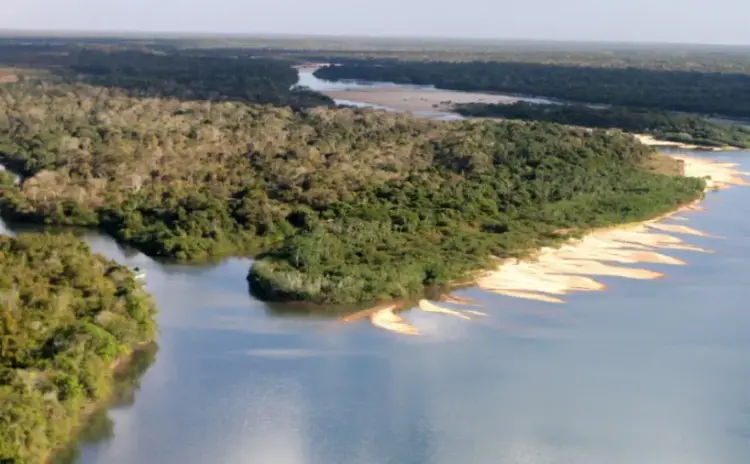 Entidades habilitadas para o Conselho Gestor da APA Ilha do Bananal/Cantão são divulgadas em lista preliminar