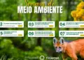 Semana do Meio Ambiente no Tocantins destaca ações de preservação e desenvolvimento sustentável