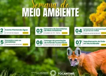 Semana do Meio Ambiente no Tocantins destaca ações de preservação e desenvolvimento sustentável