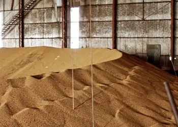 Mortes em silos de grãos em dois dias acendem alerta sobre segurança no campo