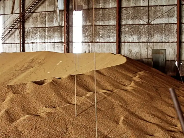 Mortes em silos de grãos em dois dias acendem alerta sobre segurança no campo