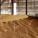 Mortes em silos de grãos em dois dias acendem alerta sobre segurança no campo