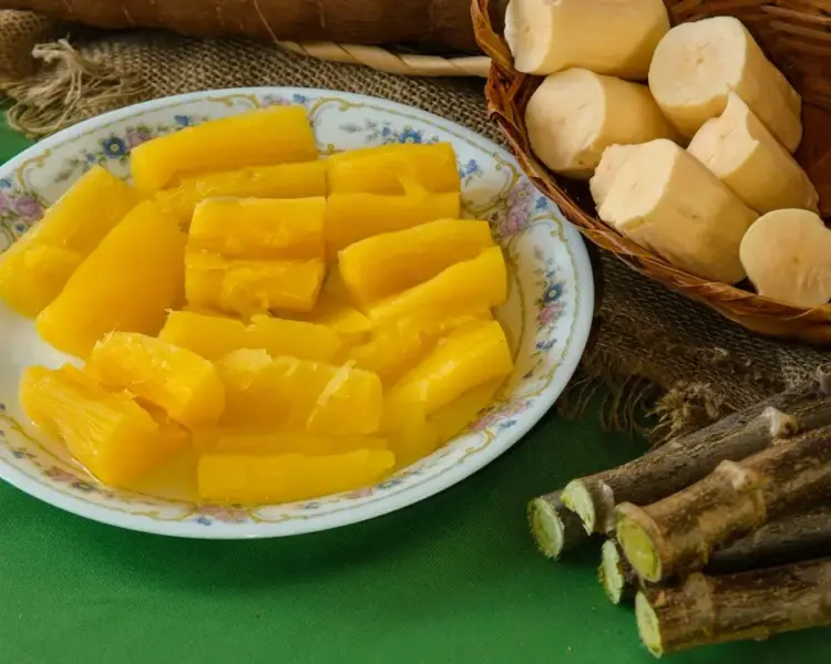 Artigo – Mandioca no Cerrado: inovação que alimenta e gera renda