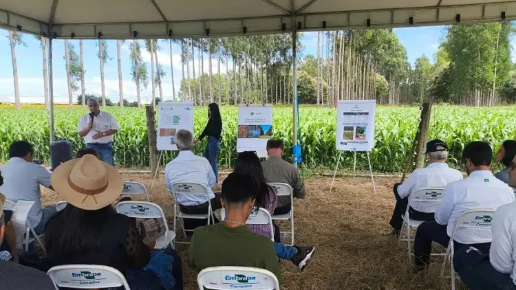 Produção sustentável em destaque: avanços da ILPF são apresentados em Dia de Campo