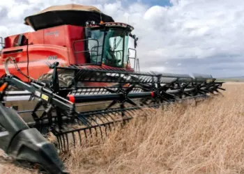 Tocantins bate recorde de produção de grãos com safra de 8,9 milhões de toneladas em 2025