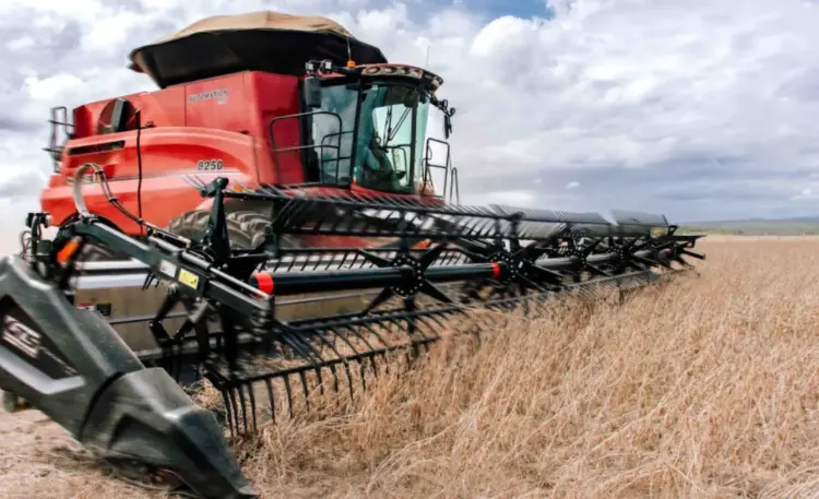 Tocantins bate recorde de produção de grãos com safra de 8,9 milhões de toneladas em 2025