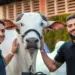 Conheça os Grandes Campeões e Campeãs da 90ª ExpoZebu
