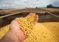 Aprosoja Tocantins lança campanha na Agrotins para valorizar a soja e aproximar o campo da cidade
