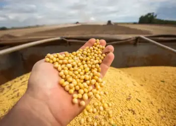 Aprosoja Tocantins lança campanha na Agrotins para valorizar a soja e aproximar o campo da cidade