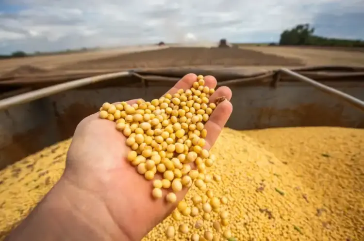 Aprosoja Tocantins lança campanha na Agrotins para valorizar a soja e aproximar o campo da cidade