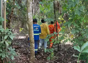 Bombeiros buscam homem desaparecido há cinco dias em zona rural