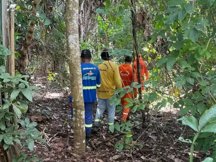 Bombeiros buscam homem desaparecido há cinco dias em zona rural