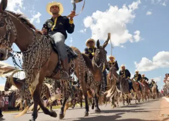 Paixão pela Tradição: Cultura do mundo rural será destaque na Expoara 2025