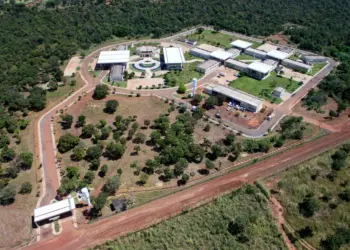 Agrotins 2025 contará com inovações da Embrapa para o agro do futuro