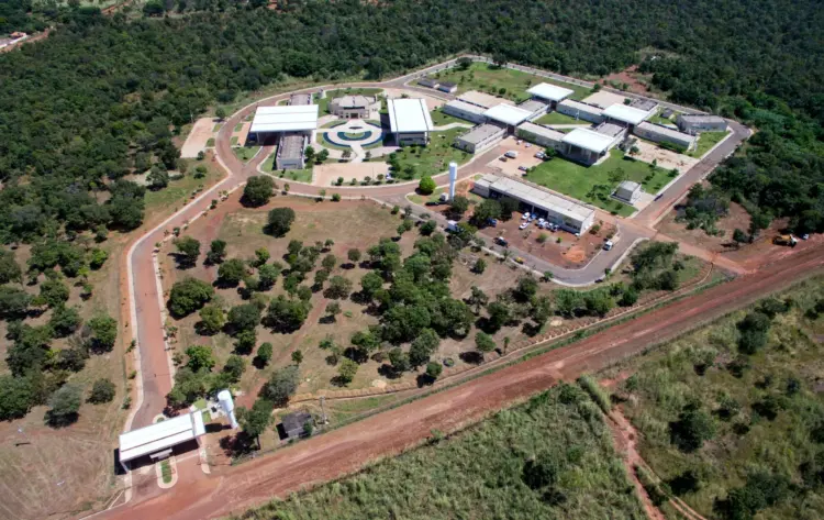 Agrotins 2025 contará com inovações da Embrapa para o agro do futuro