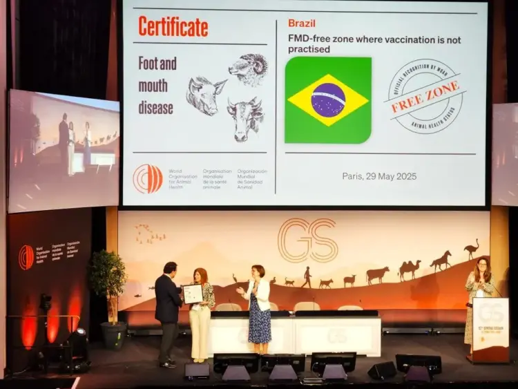 Brasil conquista status internacional de livre de febre aftosa sem vacinação