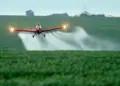 Coalizão Vozes do Tocantins denuncia uso abusivo de agrotóxicos durante Conferência de Saúde do Trabalhador