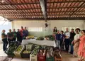 Entrega de alimentos da agricultura familiar beneficia famílias atendidas pelo CRAS em Paraíso do Tocantins