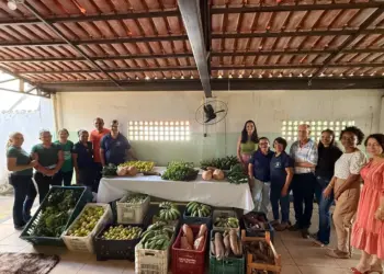 Entrega de alimentos da agricultura familiar beneficia famílias atendidas pelo CRAS em Paraíso do Tocantins
