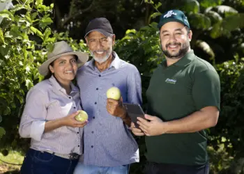 Confira a programação do Sebrae na Agrotins 2025