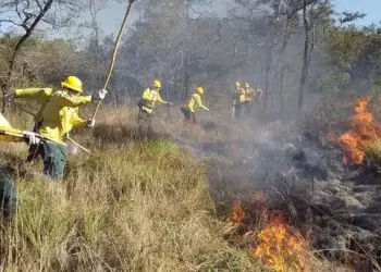 Governo do Tocantins apresenta Plano Integrado de Prevenção e Combate aos Incêndios Florestais 2025