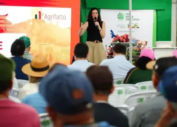 Especialista alerta para necessidade de estratégia diante de rara alta no mercado pecuário, em evento do Sistema FAET/Senar/Sindicatos