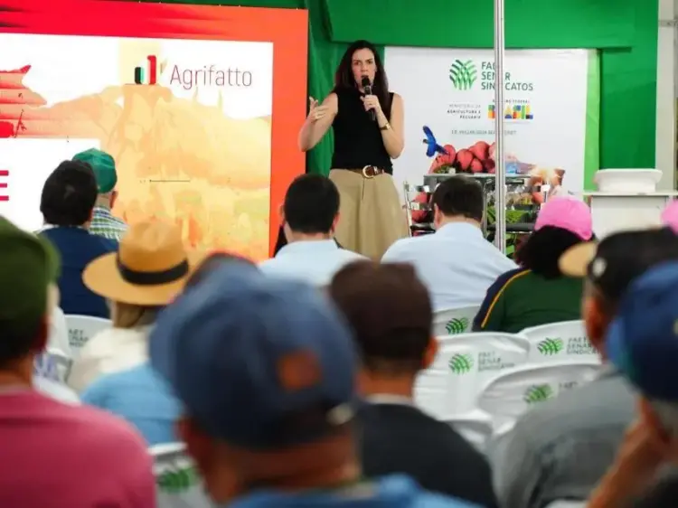 Especialista alerta para necessidade de estratégia diante de rara alta no mercado pecuário, em evento do Sistema FAET/Senar/Sindicatos