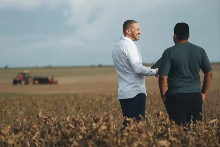 Produtores rurais devem ficar atentos ao declarar IR: erro comum pode gerar multas e até ação penal