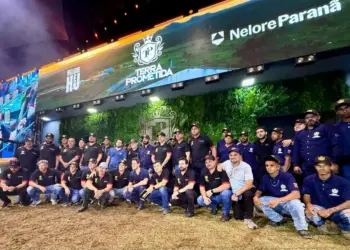 Com recorde histórico, leilão da Terra Prometida e Nelore Paranã ultrapassa R$ 130 milhões