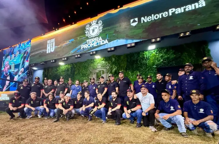 Com recorde histórico, leilão da Terra Prometida e Nelore Paranã ultrapassa R$ 130 milhões