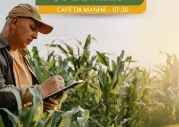 Araguaína sediará Dia de Campo do Milho e Sorgo nesta sexta-feira, 30