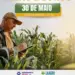Araguaína sediará Dia de Campo do Milho e Sorgo nesta sexta-feira, 30