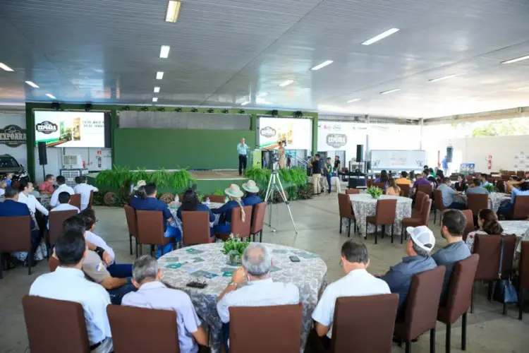 Expoara 2025 projeta público de 100 mil pessoas e R$ 200 milhões em movimentação