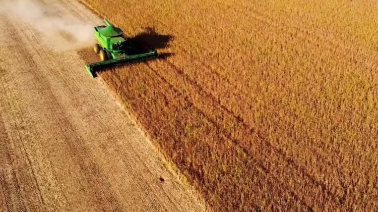 Colheita da soja 2024/25 está quase finalizada no Brasil, aponta Conab