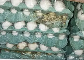 Vigilância Sanitária apreende mais de 500 kg de carne e 27 mil ovos em Palmas